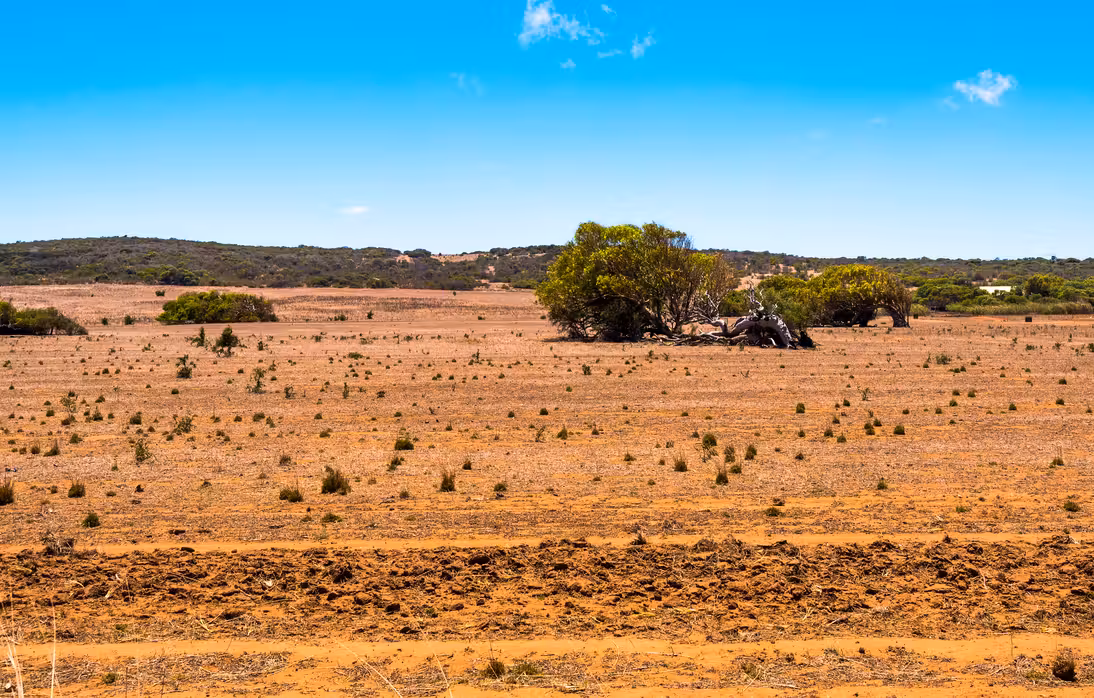 ${{cityDName}} to Geraldton Flights