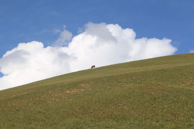 Zhuo'er Mountain