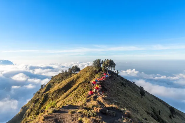 Khách Sạn Ở Sidoarjo Có Bể Bơi