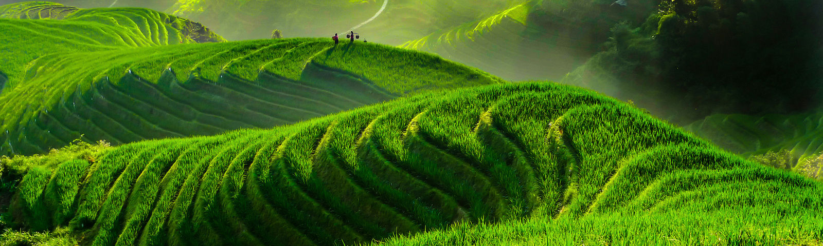 travel