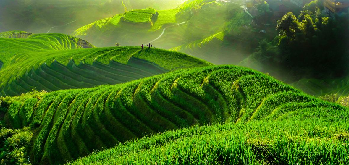Longsheng Travel Guide 2026: Top Attractions, Things to Do & Deals ...
