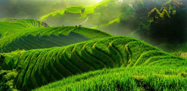 Longsheng