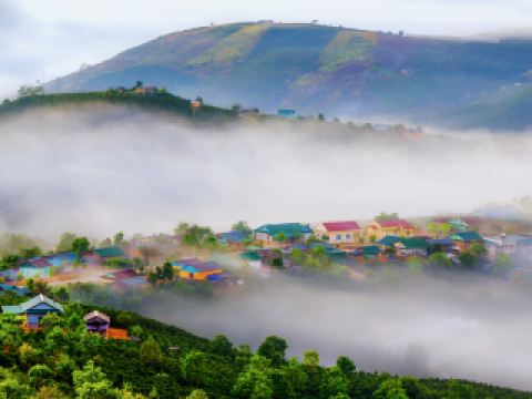 서울 출발 달랏 도착 비행시간