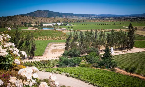 Casablanca Valley