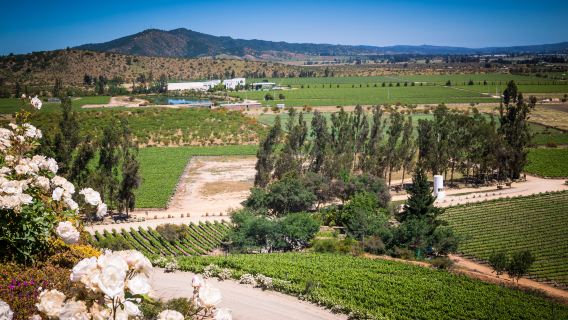 Valparaiso and Viña del Mar 1-day tour, Chile