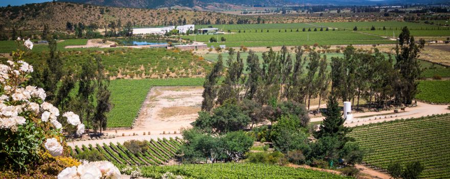 Casablanca Valley