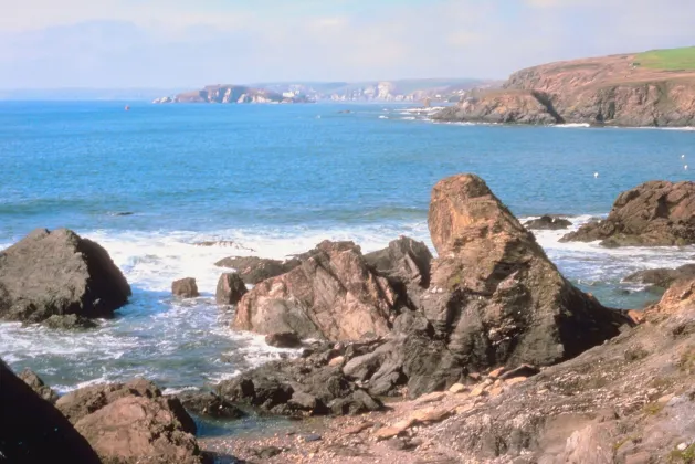 Разрешено размещения с домашними животными Отели в г. Байе