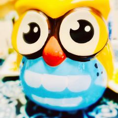 7 restaurant User Photo