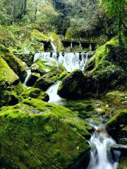 Nanshendao Tourist Area, Wudang Mountain