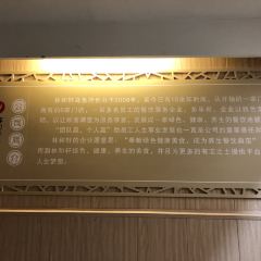 LIN HE XUAN WU YU FU User Photo