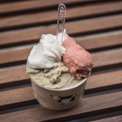 Gelato Giusto User Photo