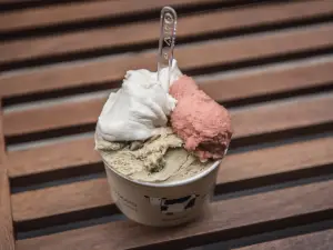 Gelato Giusto