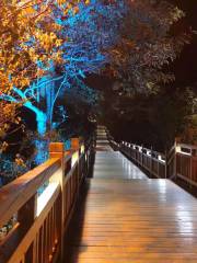 Meizi Lake Walkway