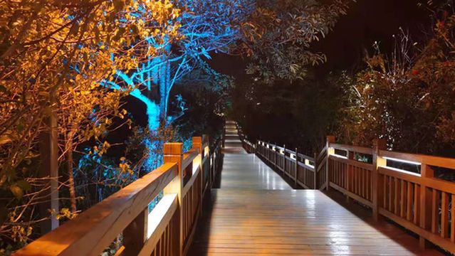 Meizi Lake Walkway