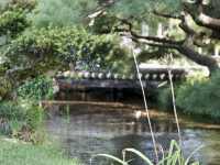 江戶時代大名庭園風格 | 日本旅遊| 兼六園賞夜景