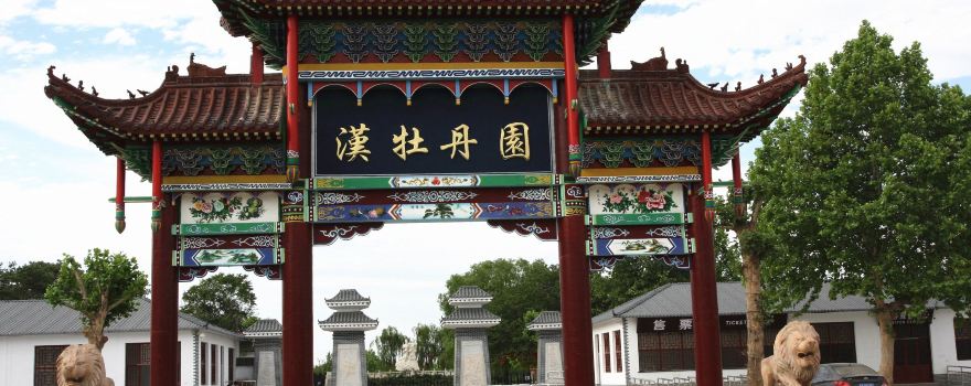 Han Peony Garden Scenic Region
