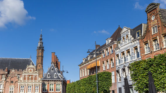 Гарлем