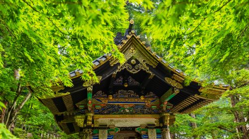 Nikko Toshogu Shrine