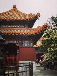 The palace of peace and harmony  