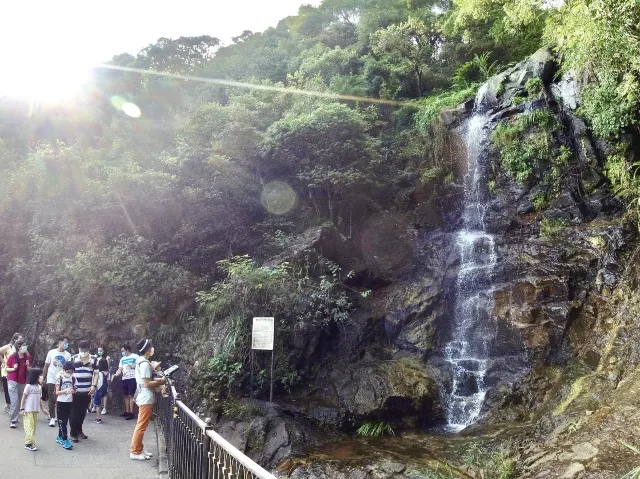 【瀑布健行】盤點六大香港瀑布 梧桐寨瀑布 瀑布灣公園 新娘潭瀑布 夏日消暑透心涼