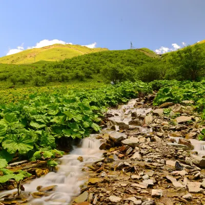Мини-отели в г. Вэньчуань