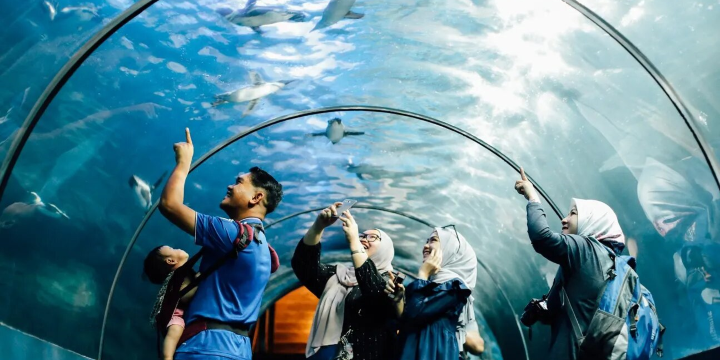 Underwater World Langkawi