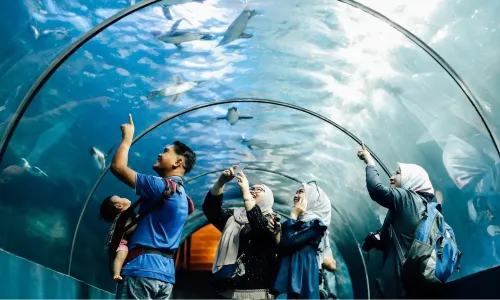 Underwater World Langkawi