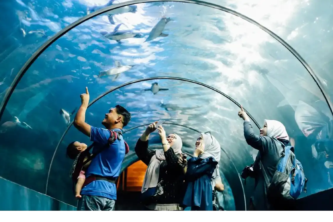 Hotels near Underwater World Langkawi