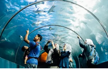 랑카위 언더워터월드