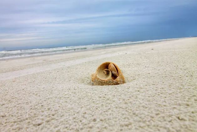 Для бизнес-поездок Отели в г. Нейплс