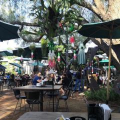 Cafe Kadijk User Photo