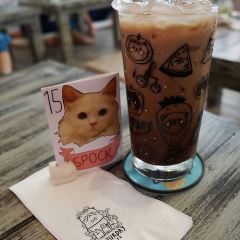 Caturday Cat Cafe User Photo