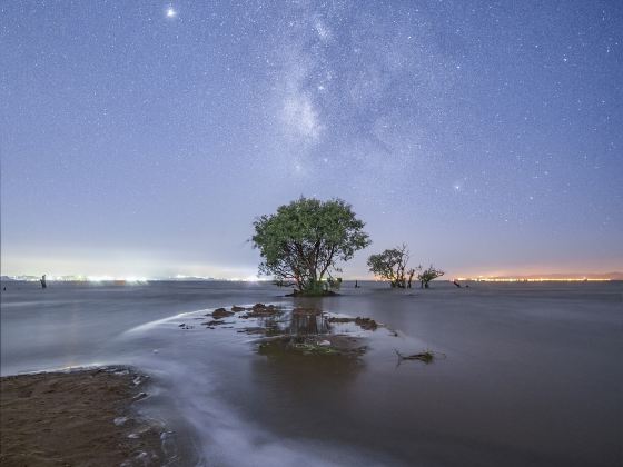 Wangguan Wetland Park