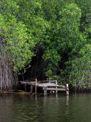 Bentota River