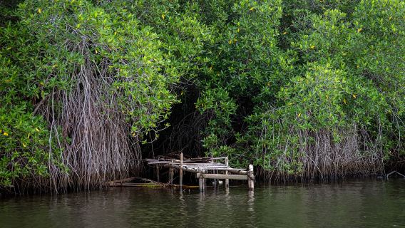 Bentota river fishing by DTS Lanka Tours