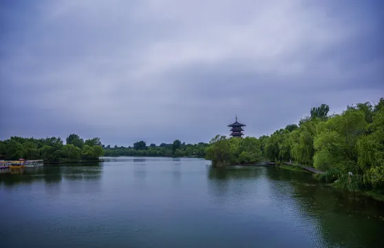 白浪綠洲濕地公園歡樂王國遊船票大小同價