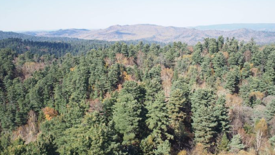 Fenglin Natural Reserve