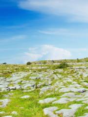The Burren National Park