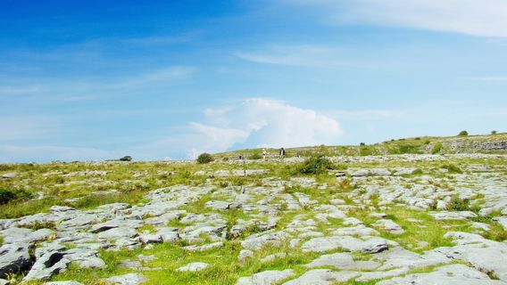 Burren National Park