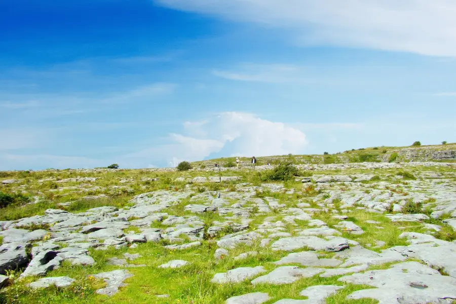 Burren National Park