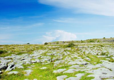 Burren National Park