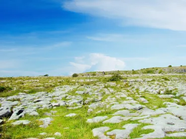 Burren National Park