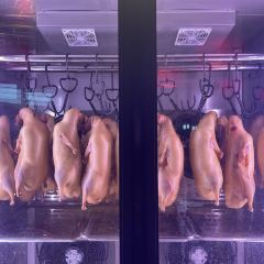 小吊梨汤(万象天地店) User Photo