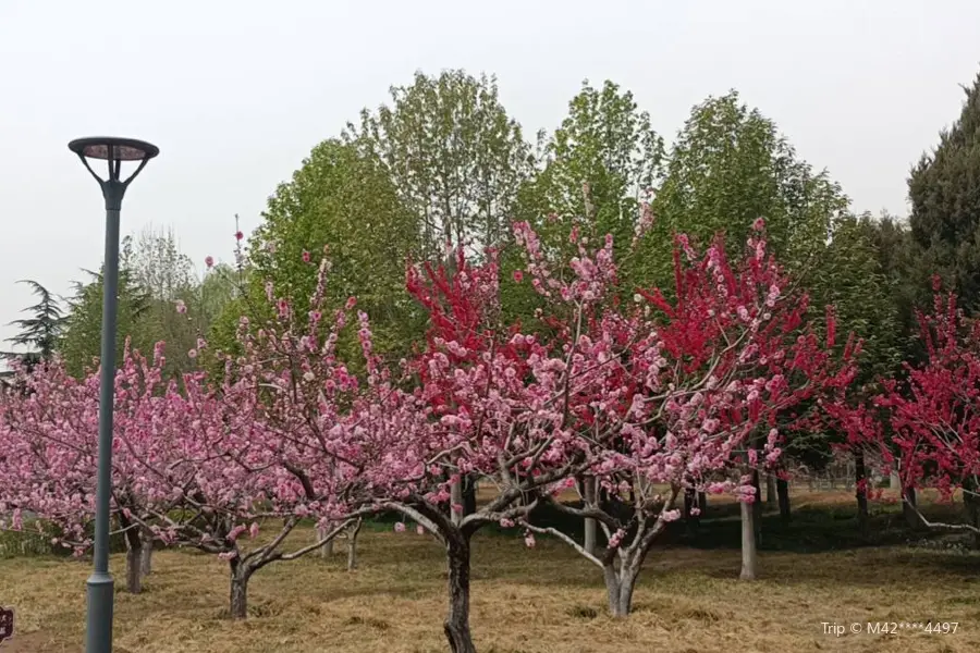 Shucun Country Park