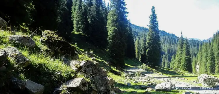 Jimsar County