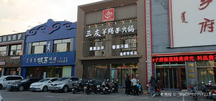 SAN YOU YANG JIE ZI XIN CHENG DIAN