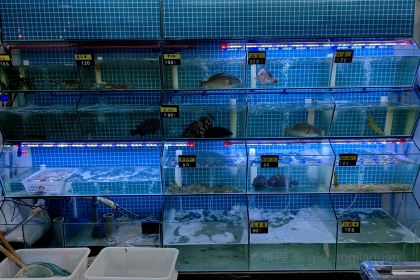 珍味海鲜大排档（东山店）