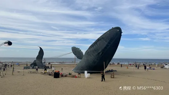 煙台金沙灘鼓孤獨的鯨