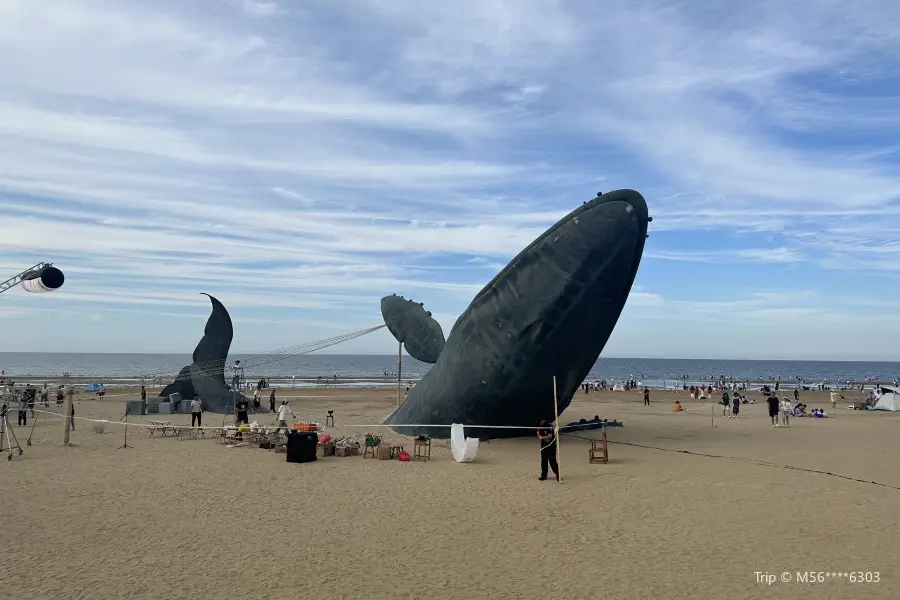 煙台金沙灘鼓孤獨的鯨