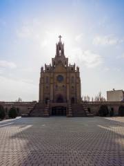 The Sacred Heart of Jesus Cathedral